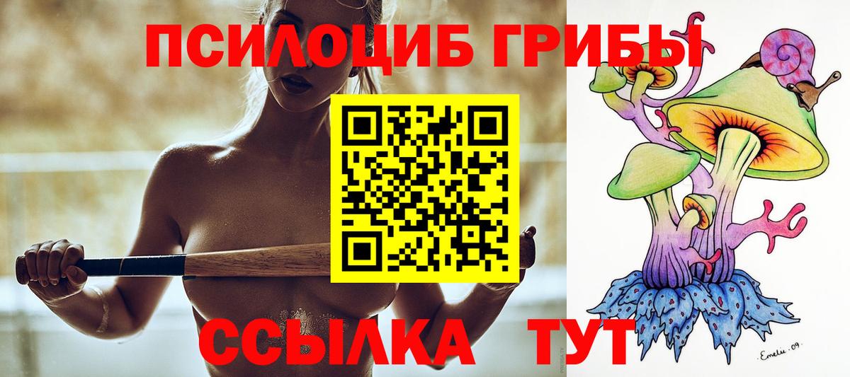 Дедовск  Псилоцибиновые грибы мицелий  Вход с VPN 