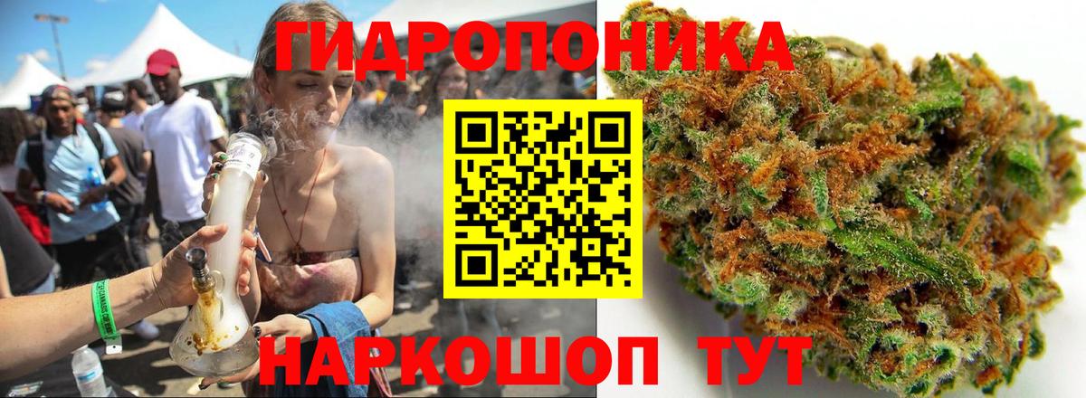 Бошки Шишки планчик  Марихуана ГИДРОПОН  Вход с VPN  Конопля сатива  Бошки марихуана Bruce Banner  Дедовск 